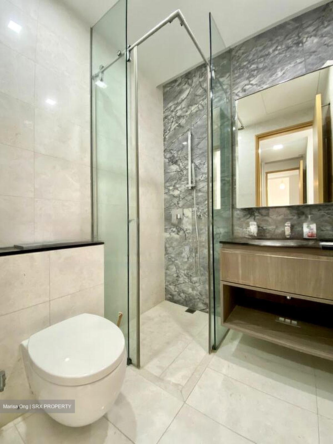 Goodwood Grand (D10), Apartment #480706921